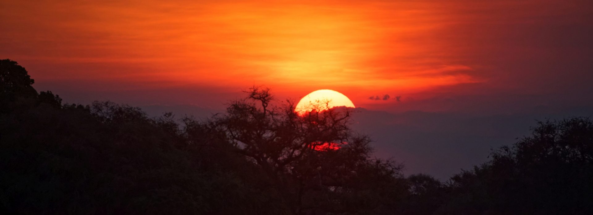 3 pic 31 mana pools sunset