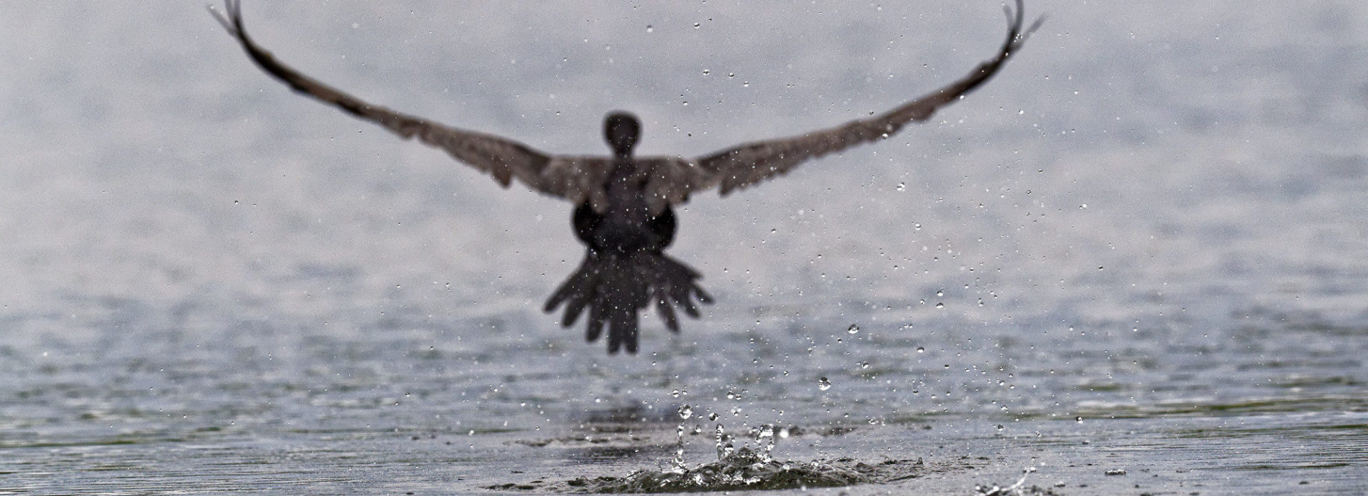 Mathias Kruger Photography