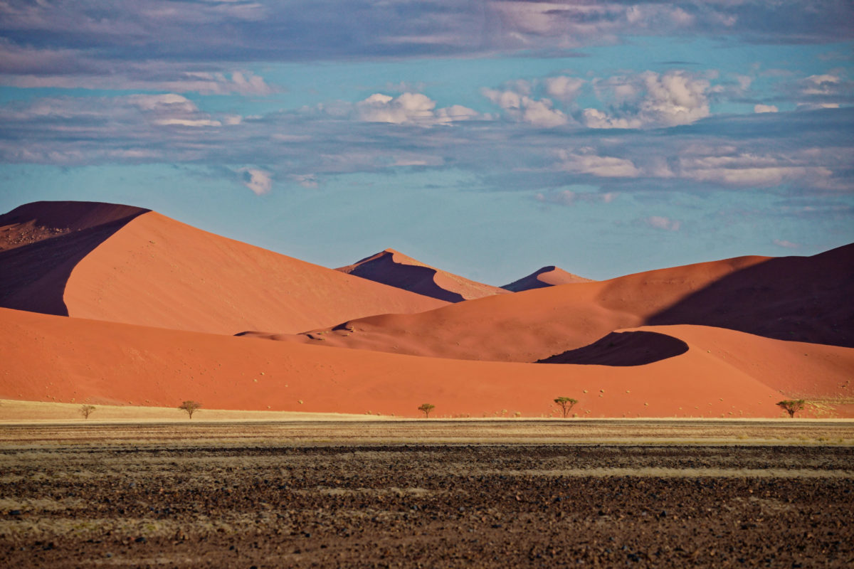 lines'n shapes namib 1