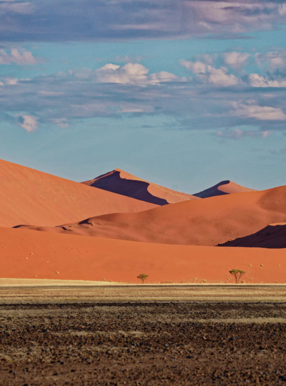 lines'n shapes namib 1